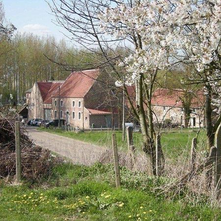 De Verborgen Parel B&B Borgloon Luaran gambar