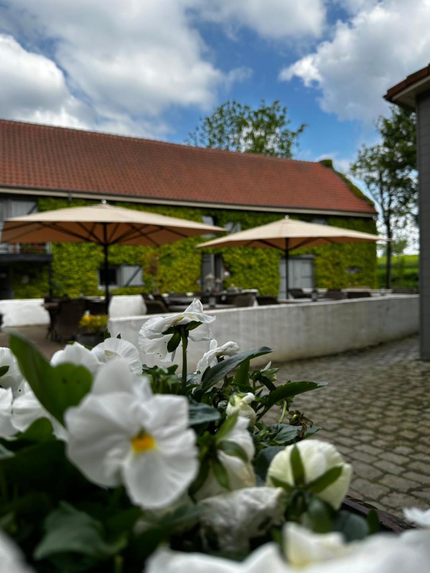 De Verborgen Parel B&B Borgloon Luaran gambar