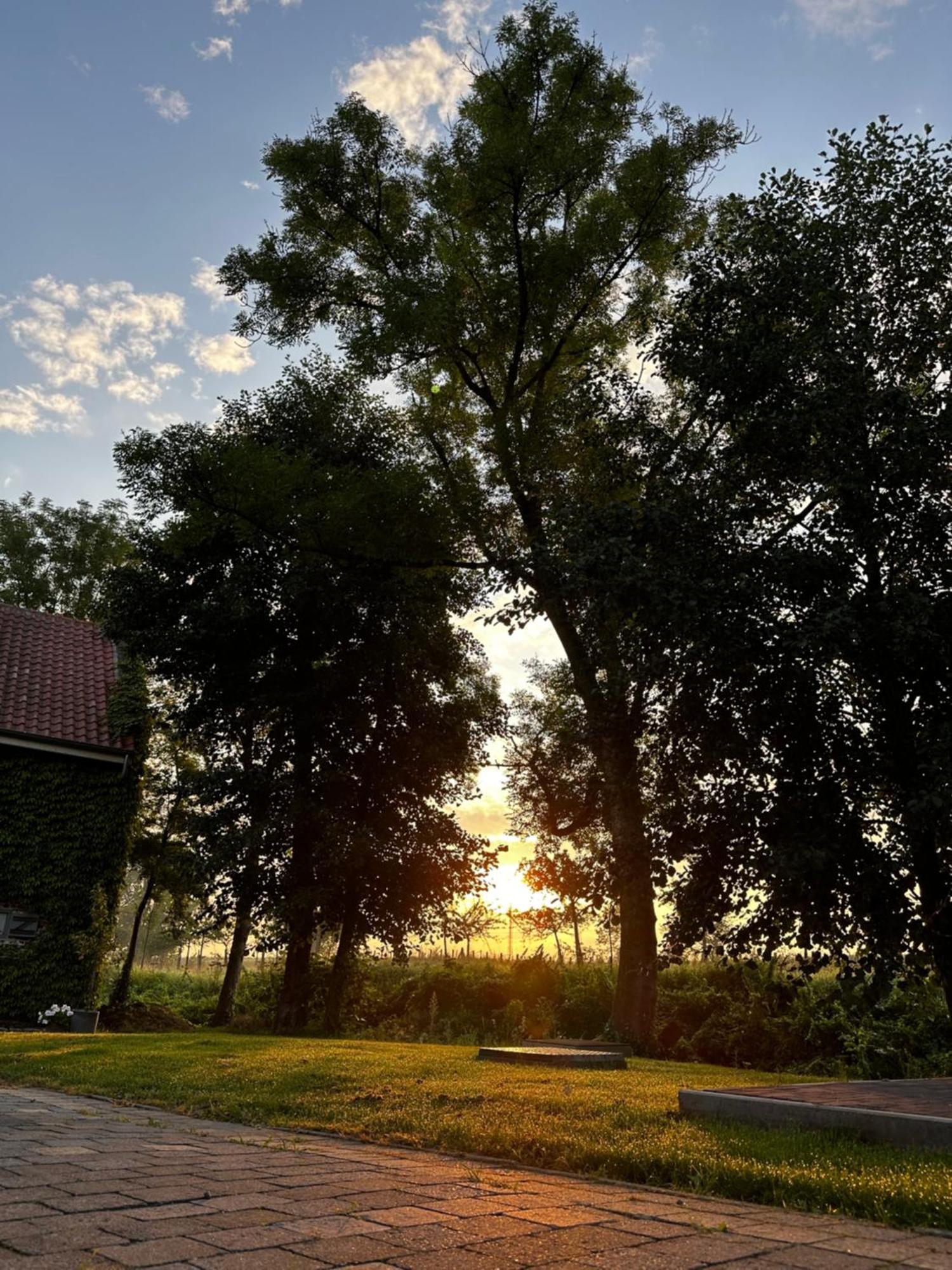 De Verborgen Parel B&B Borgloon Luaran gambar