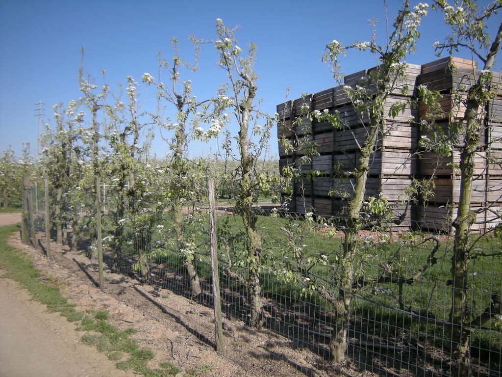 De Verborgen Parel B&B Borgloon Luaran gambar